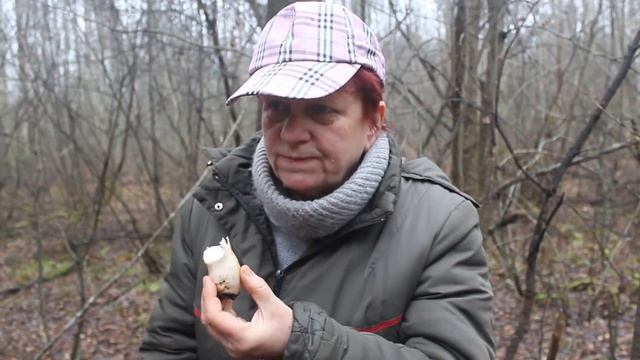 Видеовопрос. Неизвестный гриб.