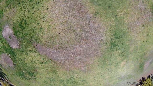 I crashed?! | FPV Flight / freestyle flight смотреть онлайн