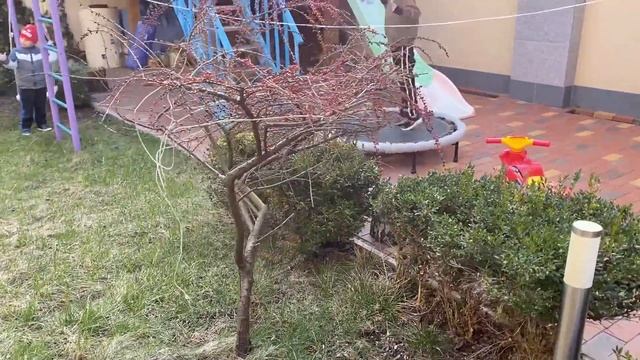 ВЛОГ УЕХАЛИ НА ДАЧУ К ДРУЗЬЯМ смотреть онлайн