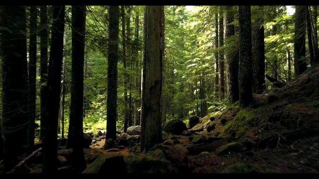 ТОП 5 фактов обо всем на свете. Время, гравитация, прошлое, зрение и микробы смотреть онлайн