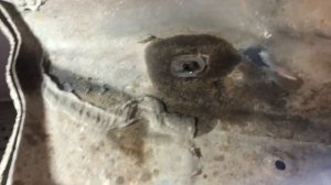 Замена сайлентблоков Мазда 6.