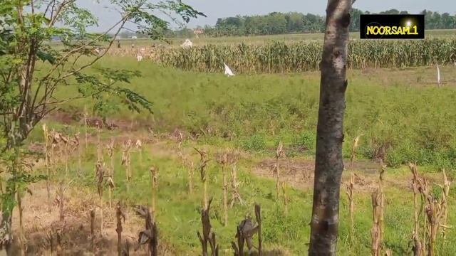 Kamera Dan Video Tes Redmi 9