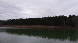 Жёлтый глаз тигра - 2