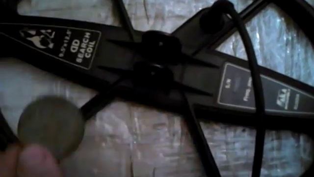 Видеоответ на вопрос о "необузданной моще" Сигнума смотреть онлайн