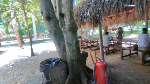 Explore Cuba - Flamingo & Crocodile / Excursion from Cayo Coco, 2022 Part 3/4 смотреть онлайн