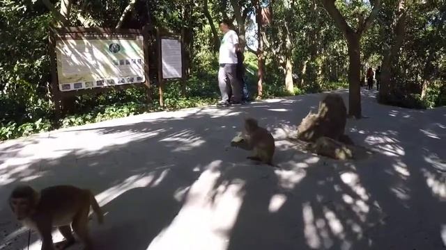 Хайнань (часть 2) смотреть онлайн