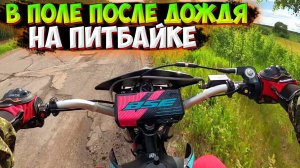 ПОКАТУШКА НА ПИТБАЙКЕ ПОСЛЕ ДОЖДЯ