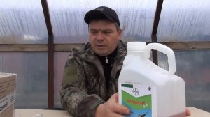 Фунгицид Фалькон и стимулятор для роз Гиберелон.