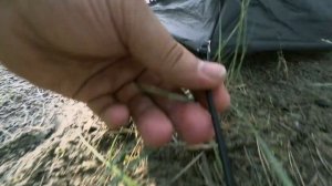 3F UL Gear LanShan 2 – обзор самой продаваемой палатки на Aliexpress