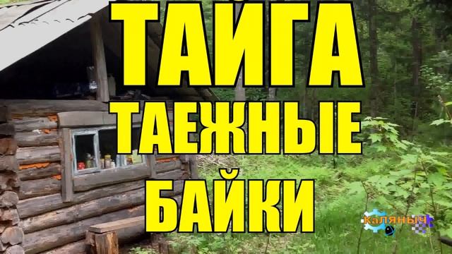 ТАЕЖНЫЕ БАЙКИ | РАССКАЗЫ ОХОТНИКА | ТАЙГА 1 из 2 смотреть онлайн