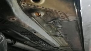 переварка порогов калина1 и перекрасил сам дома без специалистов, делал первый раз