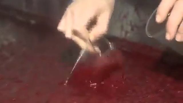 Из чего делают сок!!! ШОК смотреть онлайн