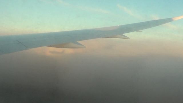 02 12 19 Boeing 787 8 Driamliner UK 78705 Tashkent Frankfurt Uzbekistan Airways