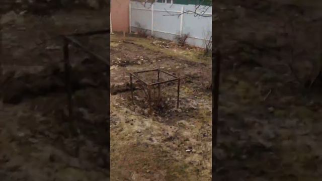 Котенок МЭди Дыма залез на дерево высоко смотреть онлайн