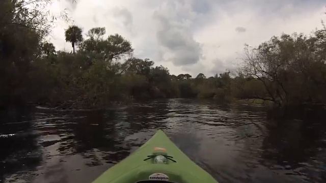 Myakka Kayak 5