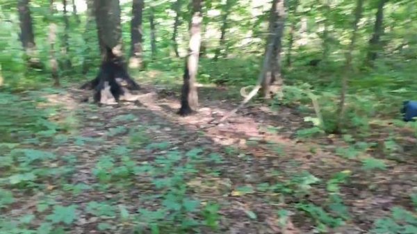 браконьеры