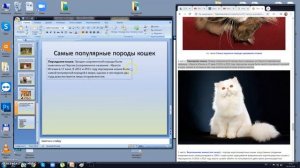 Как вставить в презентацию Power Point текст и графику из интернета