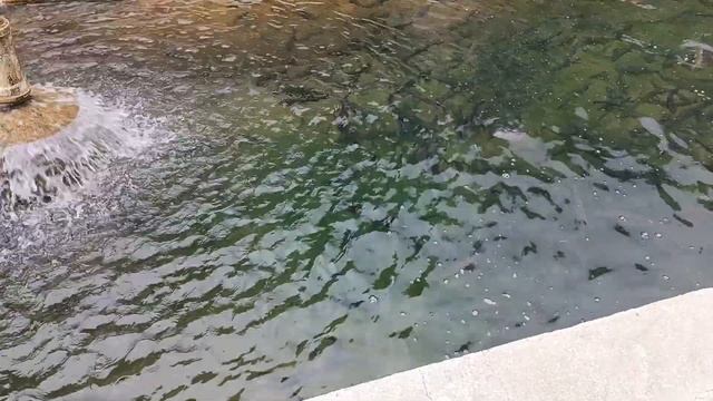 Путешествуем из Мерсина в Анталию! (2023) Обзор Hotel MEYDE Boutique Suites Анталия.