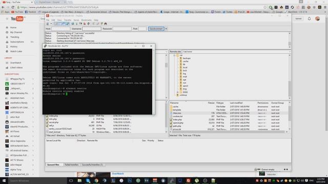 HOW TO MAKE A CSGO ROULETTE WEBSITE !!! #4.5 (internal server issue, dns) смотреть онлайн