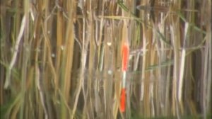 Карпушины капризы (оз.  Яу-Балык)