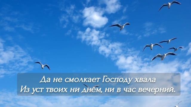 Ты всё пройдёшь, не может быть иначе! | христианский стих смотреть онлайн