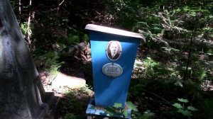 Прогулка по старому заброшенному кладбищу † Погост † Заброшенные могилы разрушенные надгробия