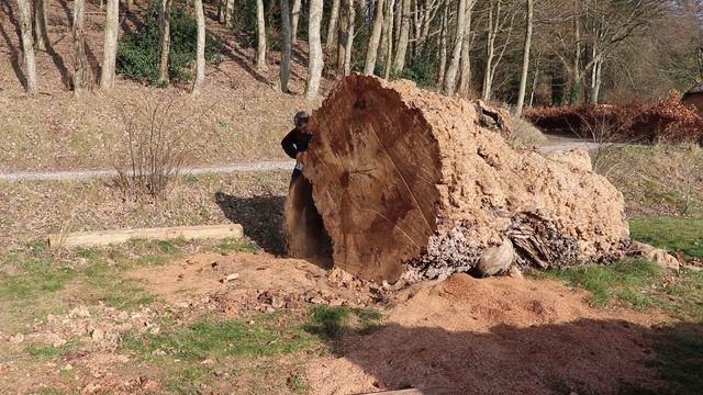 Cutting End Grain Cookies