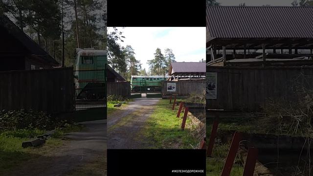 #Железнодорожное - База запаса раритетной ж.д. техники под Санкт-Петербургом смотреть онлайн