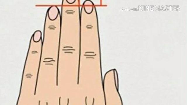 Что может рассказать о человеке длина его пальцев смотреть онлайн