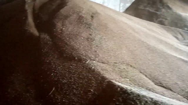 нива ск 5 уборка пшеницы смотреть онлайн