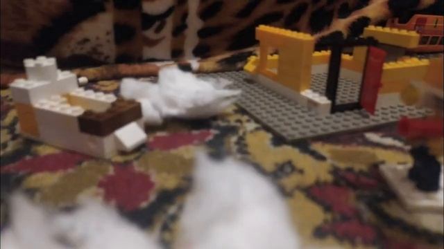 скибиди туалет анимация 5 смотреть онлайн