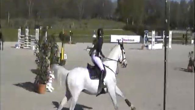 Hilmar Meyer Sporthorses 2016 Carchin Luhmühlen M смотреть онлайн