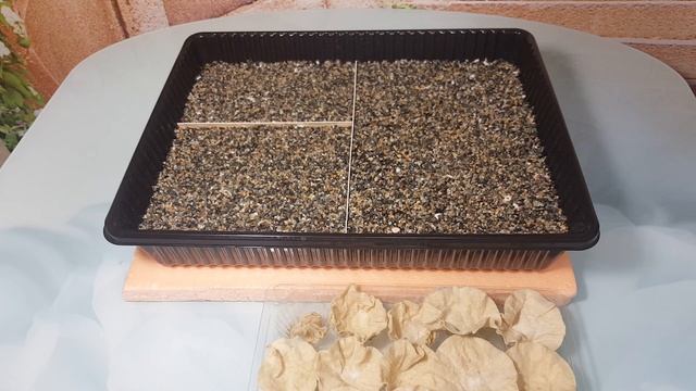 Посев 20.02.21 смотреть онлайн