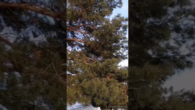 Ритуал ,чтобы вернули долг. Заговор на должника. смотреть онлайн