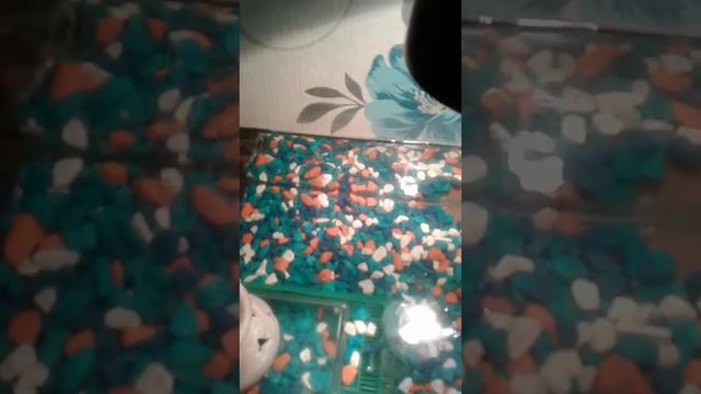 Морская черепаха разговаривает смотреть онлайн