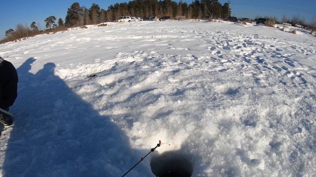 Рыбалка на озере Андреевском в Тюмени смотреть онлайн
