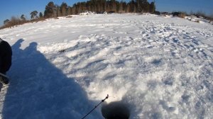 Рыбалка на озере Андреевском в Тюмени