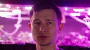 Фитолампы для растений. Эксперимент и отзыв. 100 ламп, 8 спектров и 3000 растений