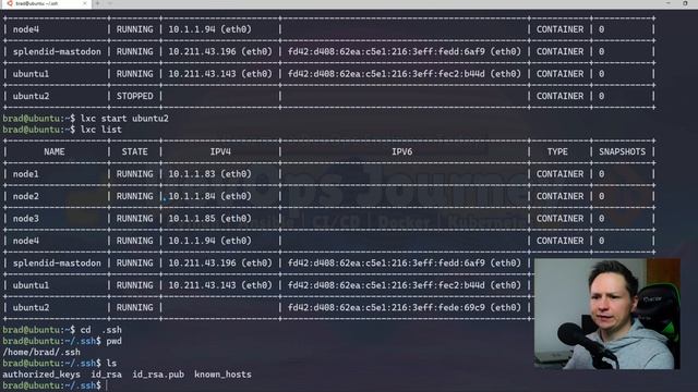 LXC - Guide to building a LXC Lab смотреть онлайн