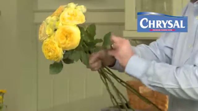 How to make a hand tied bouquet смотреть онлайн