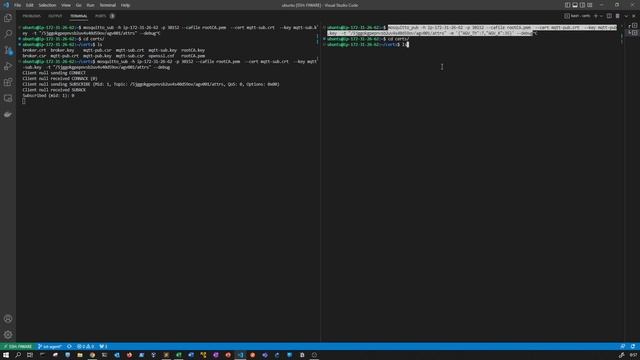 Testing MQTTS deployed on Minikube using efrecon/mqtt-client docker tool and mosquitto-clients lib смотреть онлайн