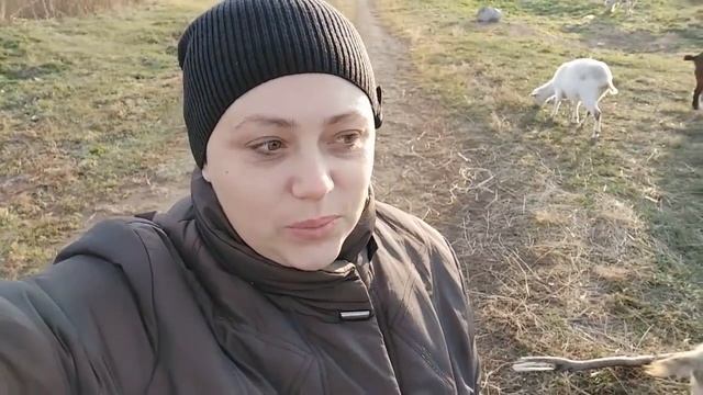 ПРОИЗОШЛО СОБЫТИЕ\ПОКУПКИ\ЧТО НОВОГО?\