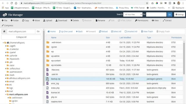 How to Backup Your WordPress Website From cPanel in URDU/HINDI | WordPress Backup | cPanel Tutorial смотреть онлайн