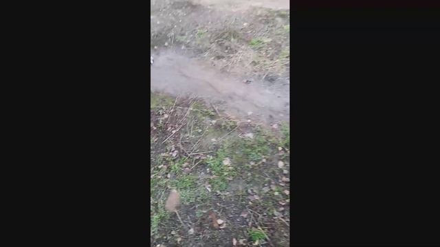 КВ-эфир, первые впечатления. Антенна для выхода "в поля". смотреть онлайн