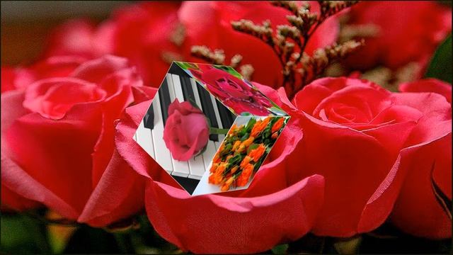 Красные розы смотреть онлайн