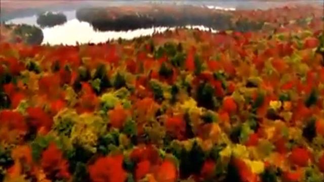 Красивая музыка. смотреть онлайн