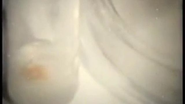 Генетика и селекция: Размножение растений in vitro смотреть онлайн