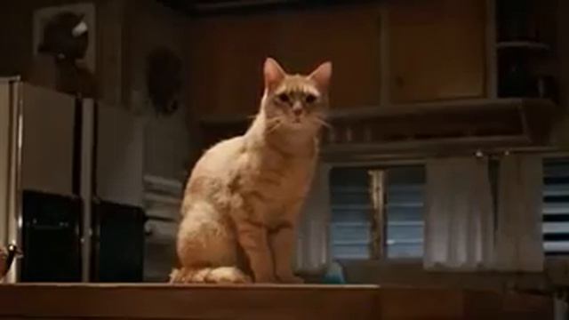 wmplayer 2015 02 16 18 35 28 95 смотреть онлайн