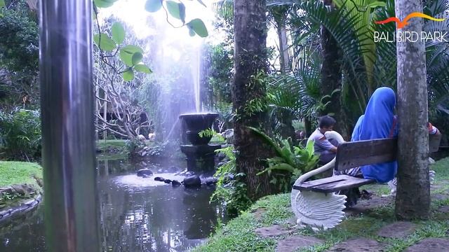 Inside Bali Bird Park смотреть онлайн