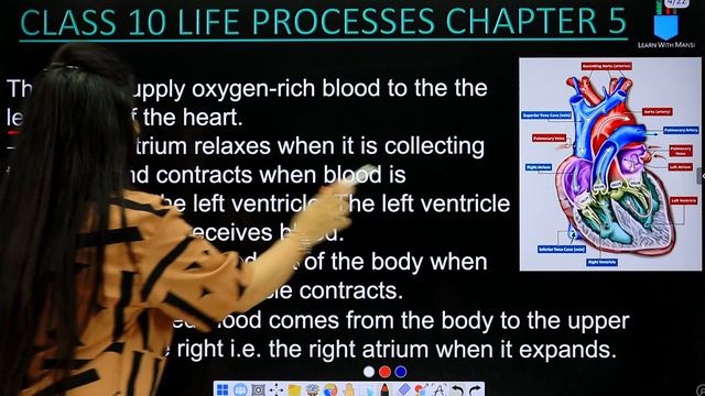 Working of Heart | Chapter 5 | Life Processes | Class 10 Science | NCERT смотреть онлайн
